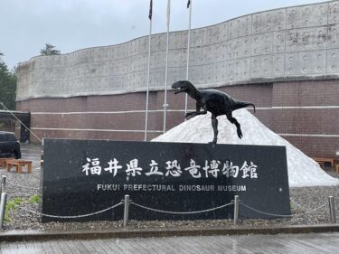 ゴールデンウイークの福井県立恐竜博物館！混雑の中でも楽しめる方法伝授！