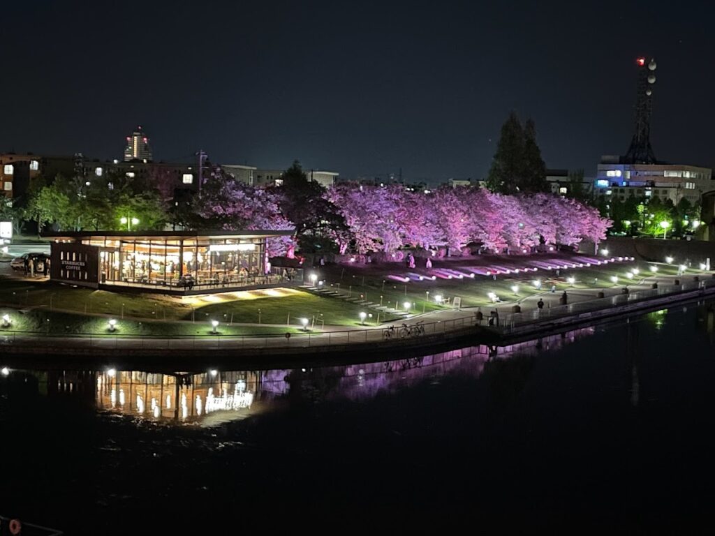 夜の富岩運河環水公園